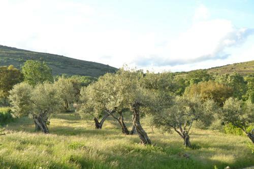Agroturismo Casa Rural Las Fuentes De �gata