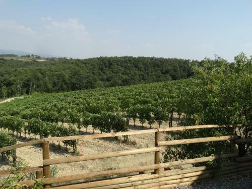 Agroturismo Agriturismo Montegonfoli