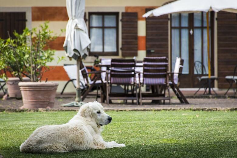 Hostal Musella Winery & Relais