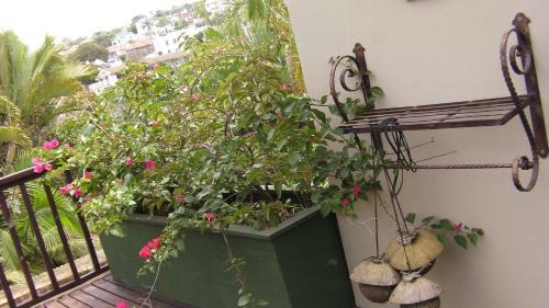 Hostal Mythai Guesthouse