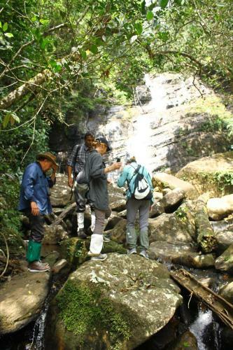 The Rainforest Ecolodge - Sinharaja