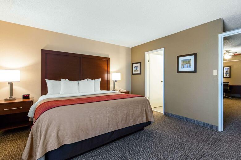Hotel Comfort Inn And Suites - Airport