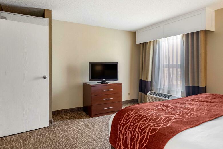 Hotel Comfort Inn And Suites - Airport