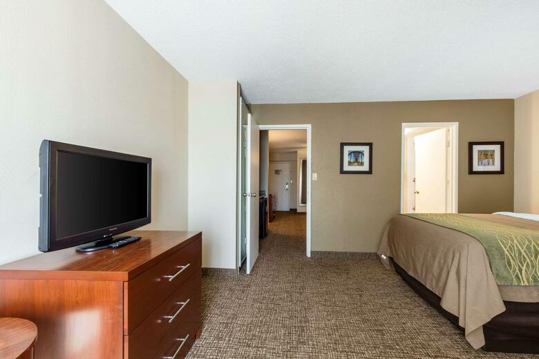 Hotel Comfort Inn And Suites - Airport