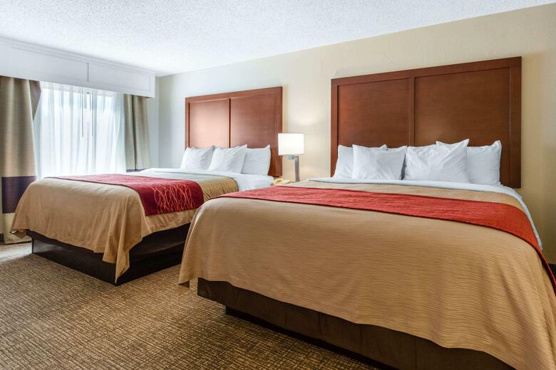 Hotel Comfort Inn And Suites - Airport