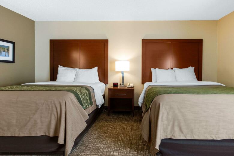 Hotel Comfort Inn And Suites - Airport