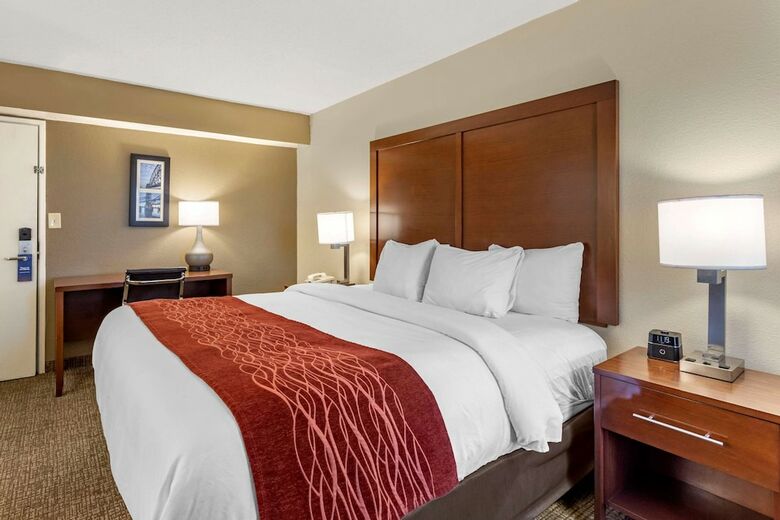 Hotel Comfort Inn And Suites - Airport