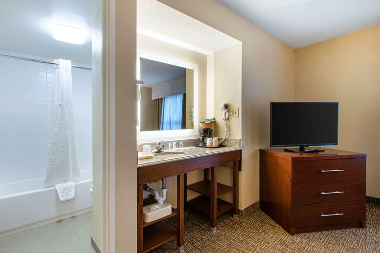 Hotel Comfort Inn And Suites - Airport