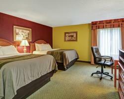 Hotel Comfort Inn And Suites - Airport