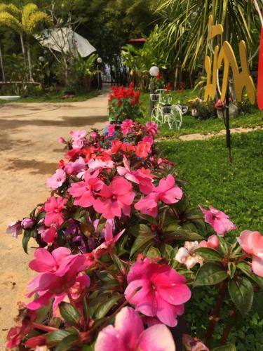 Hotel Baan Rai Phufah Resort Chiangrai