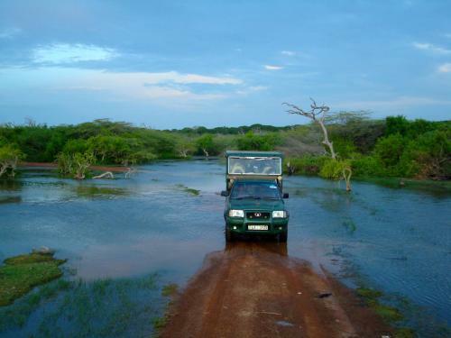 Hotel Mahoora Tented Safari Camp - Bundala