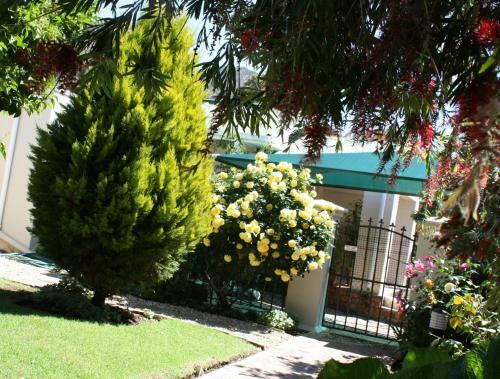 Bed & Breakfast Somerset Lodge