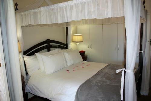 Bed & Breakfast Somerset Lodge