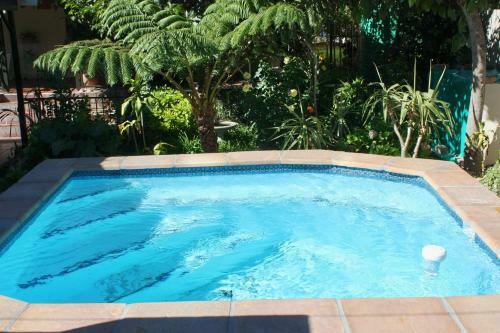 Bed & Breakfast Somerset Lodge