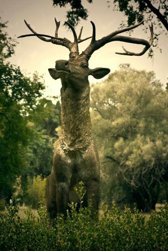 Agroturismo Estancia Estrella Federal