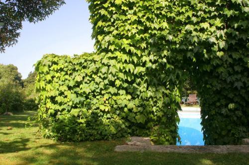 Agroturismo Casa Da Eira De Moledo