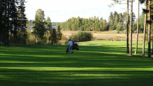 Hotel Pite� Golfhotell