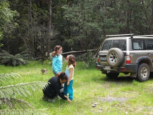 Hostal Pear Tree Cottage Bed And Breakfast