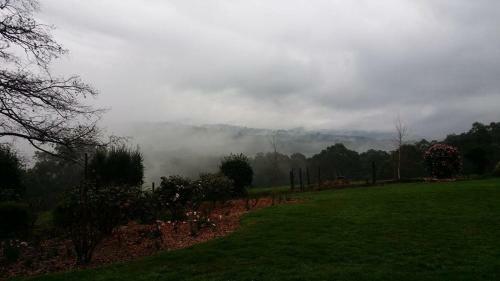 Hostal Pear Tree Cottage Bed And Breakfast