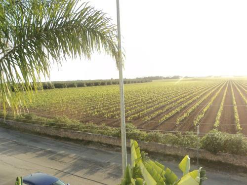B&B La Vigna