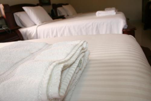 Hotel Maria Isabel