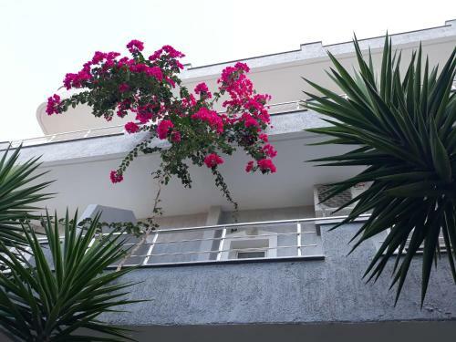 Bed & Breakfast Ahmeti