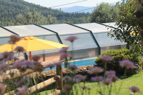 Casas Do Favacal