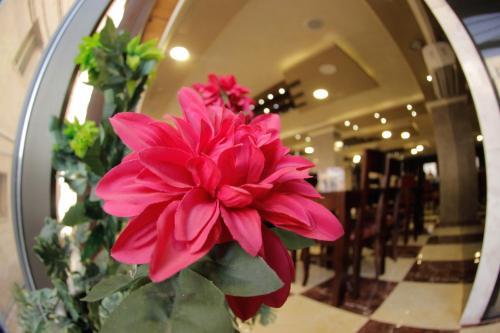 Apartamento Nahas Plaza