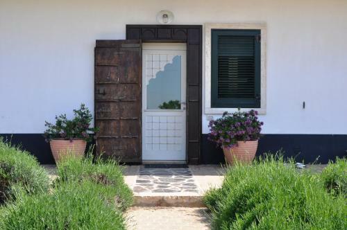 Bed & Breakfast Villa Lavanda