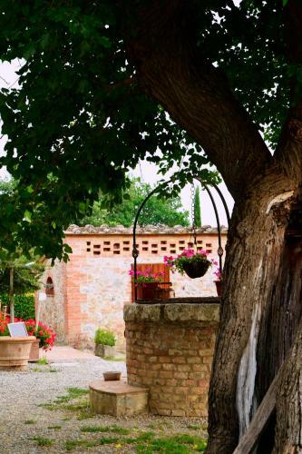 Agroturismo Casa Di Campagna In Toscana