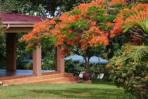 Hostal Abangane Guest Lodge