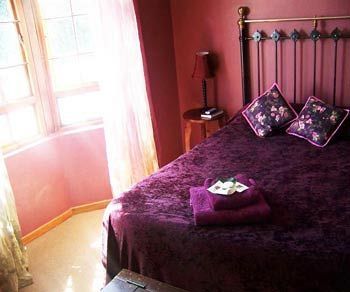 Hostal 5th Avenue Gooseberry Guest House