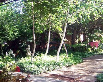 Hostal 5th Avenue Gooseberry Guest House