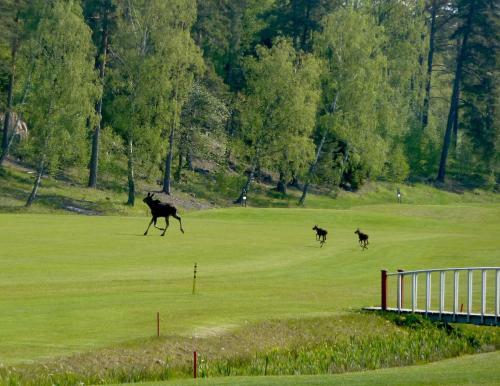Hotel �da Golf & Country Club