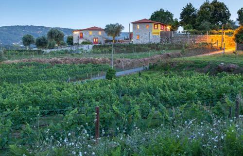 Agroturismo Quinta Do Olival