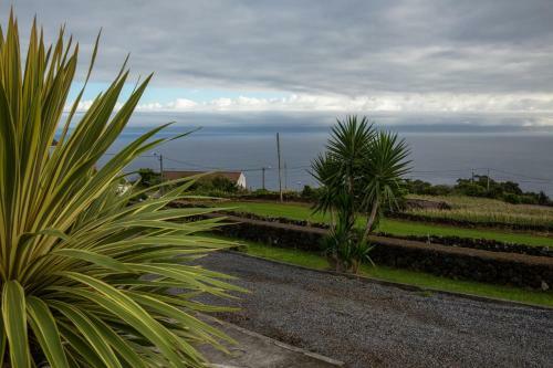 Agroturismo Quinta Da Ribeira Da Urze