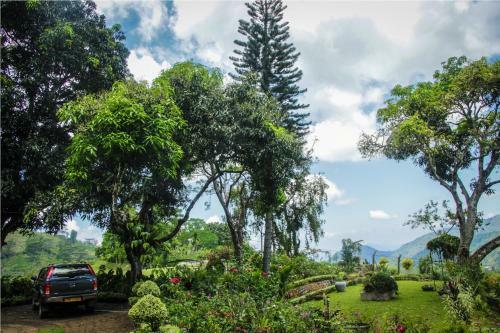 Agroturismo Ancoombra Tea Estate Bungalow