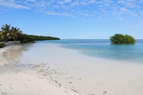 Hotel Royal Palm Island Resort