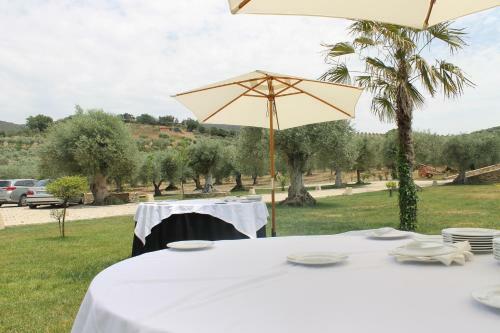Bed & Breakfast Casal Da Porta - Quinta Da Porta