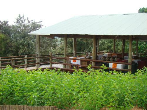 Hostal Mulberry Lane