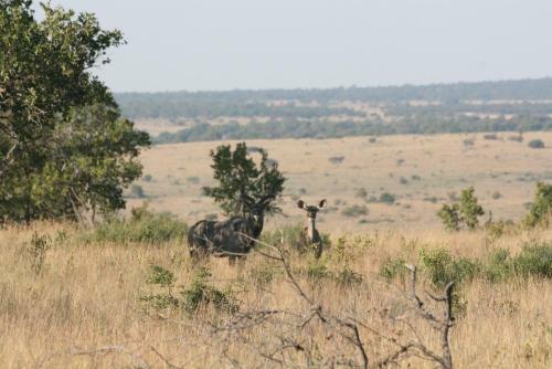 Hostal Tranquillity Day Spa & Lodge