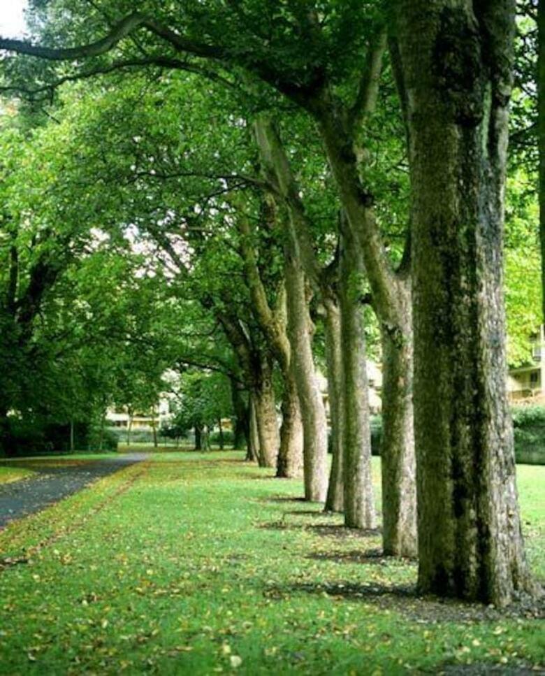 Hotel Herbert Park