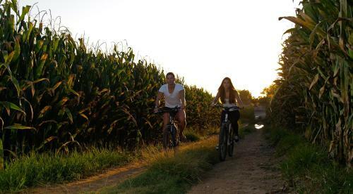 Agroturismo Herdade Do Sardanito Da Frente