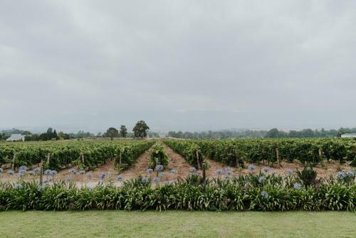 Agroturismo Nwanedi Country Manor