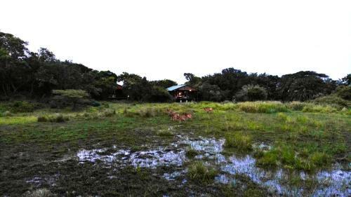 Makakatana Bay Lodge