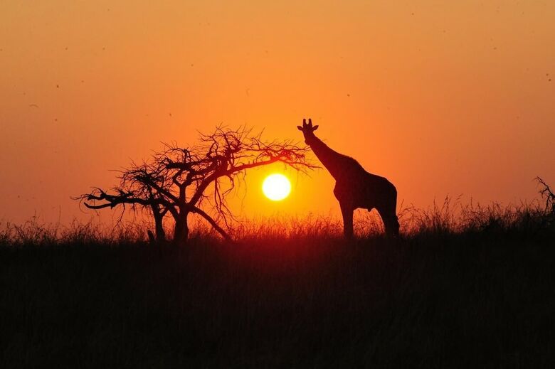 Esiweni Luxury Safari Lodge