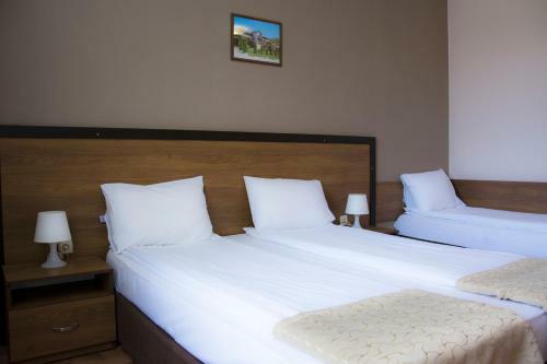 Spa Hotel Ivelia