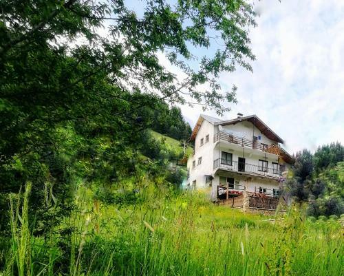 Hostal Kuma Lissa Guest House