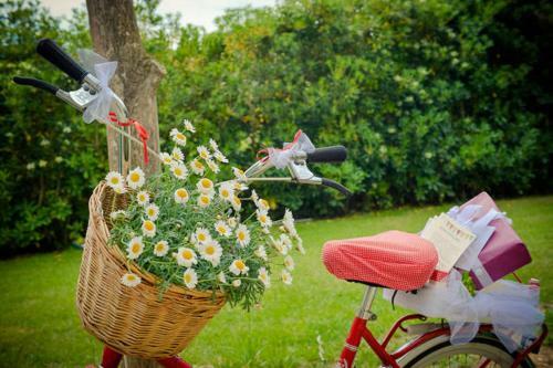 Agroturismo Masia Rural Cal Sim�