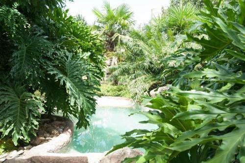 Hostal Cosmos Cuisine Addo